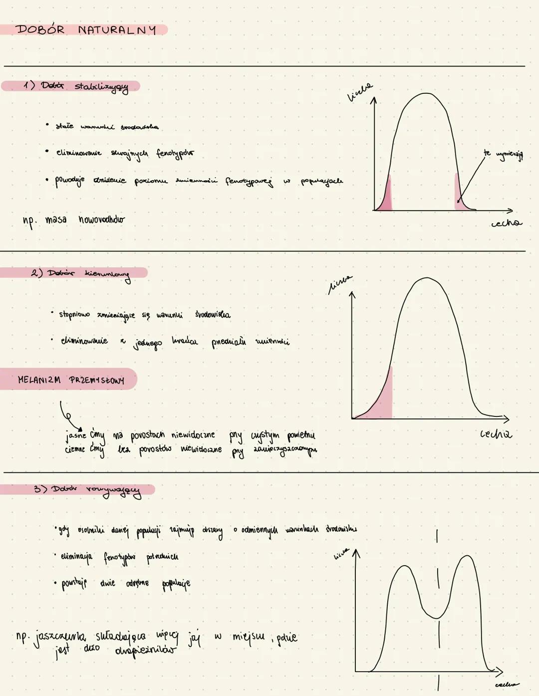 # DOWODY

# EWOLUCJI

Wynikajis 2
analizy podchicństw

BEZPOŚREDNIE

*   wnioski z obserwacji

*   skamieniałości

*   formy prejściowe

*  
