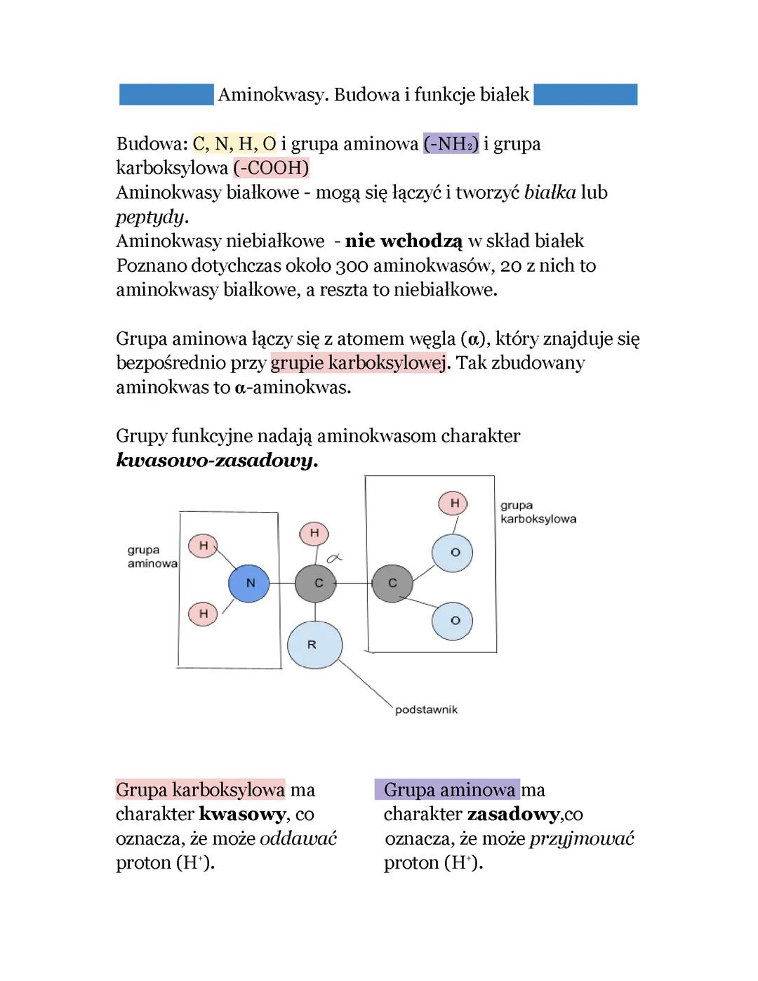 Aminokwasy: Kluczowa Rola i Struktura Białek w Organizmie