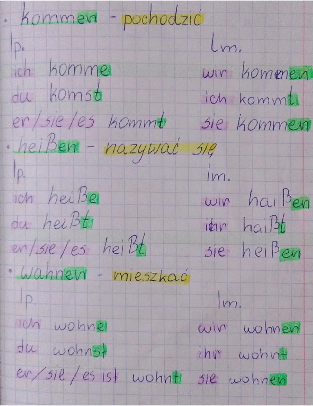 Czasowniki w języku niemieckim: kommen, heißen, wohnen, sein, haben