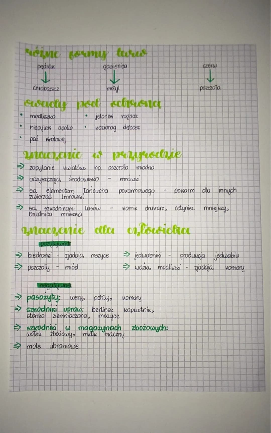 biologia
miejsa zycia, wygład
→ Rawie wszystkie owady żyja, na lądzie. Ich ciala chroni chitynowy
OSKorek, który jest jednocześnie sztywny e