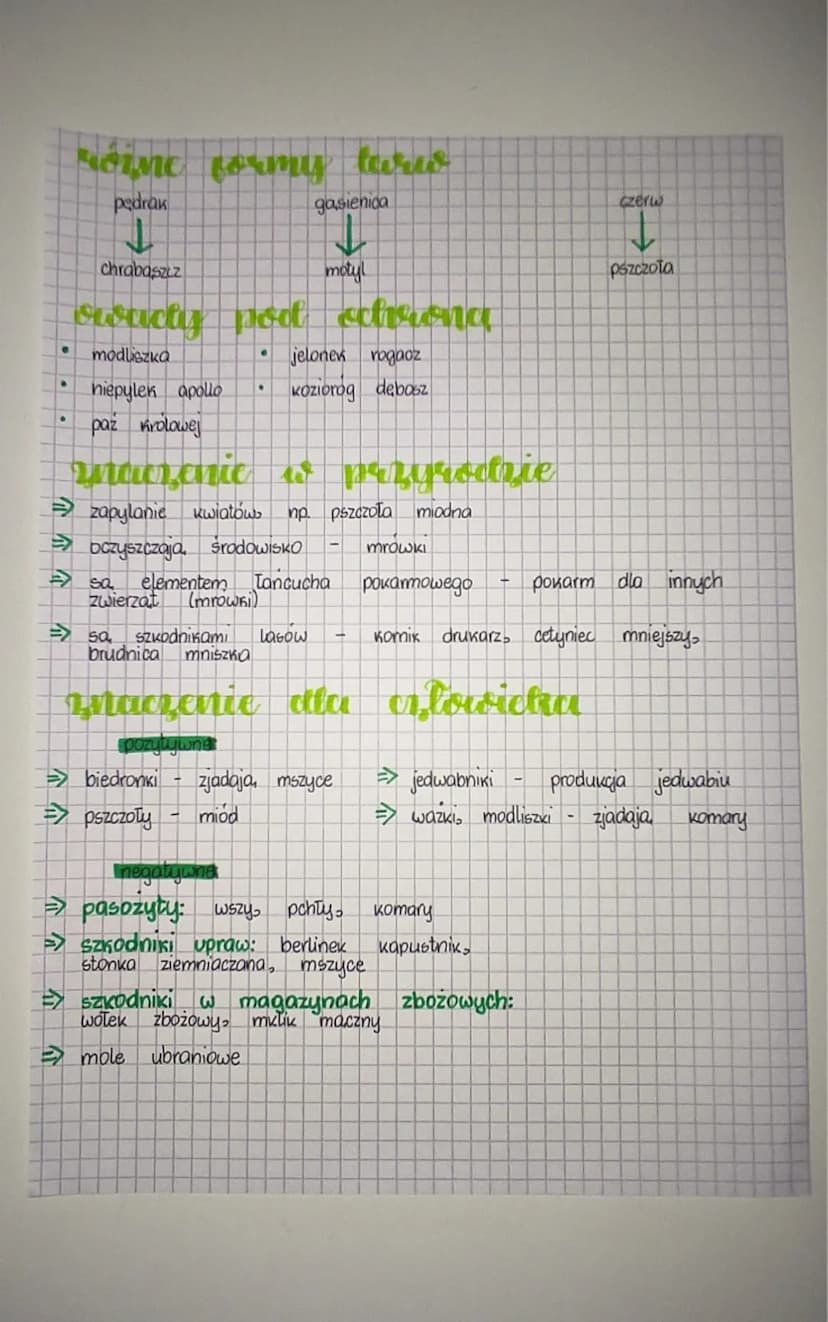 biologia
miejsa zycia, wygład
→ Rawie wszystkie owady żyja, na lądzie. Ich ciala chroni chitynowy
OSKorek, który jest jednocześnie sztywny e