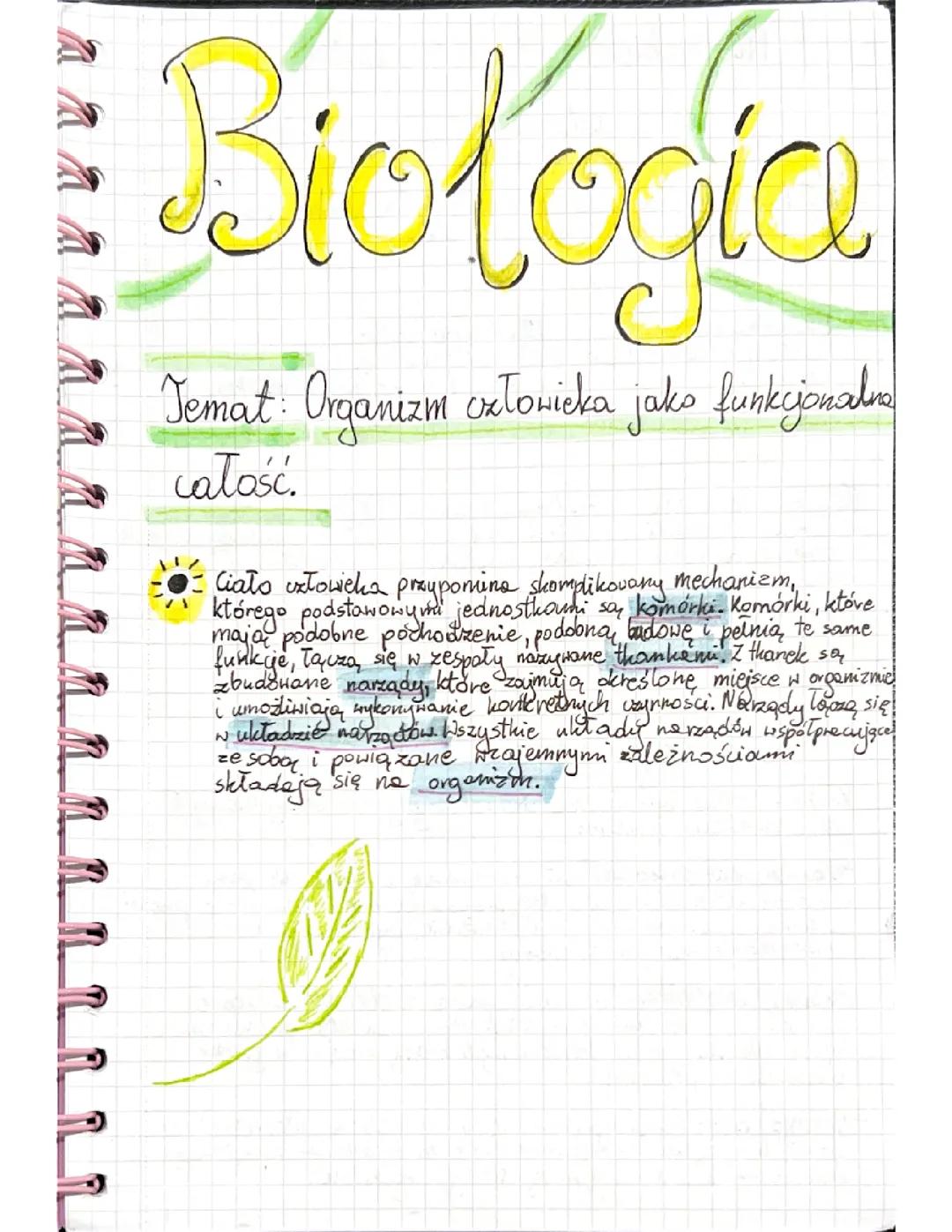 Biologia: Skóra - Klasa 7