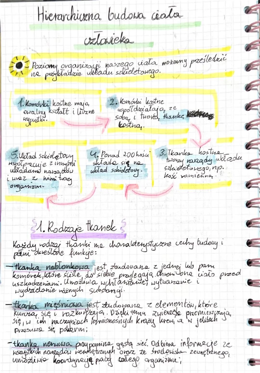 Biologia
Temat: Organizm człowieka jako funkcjonalno
całość.
し
Ciało człowieka przypomina skomplikovany mechanizm,
którego podstawowym jedno