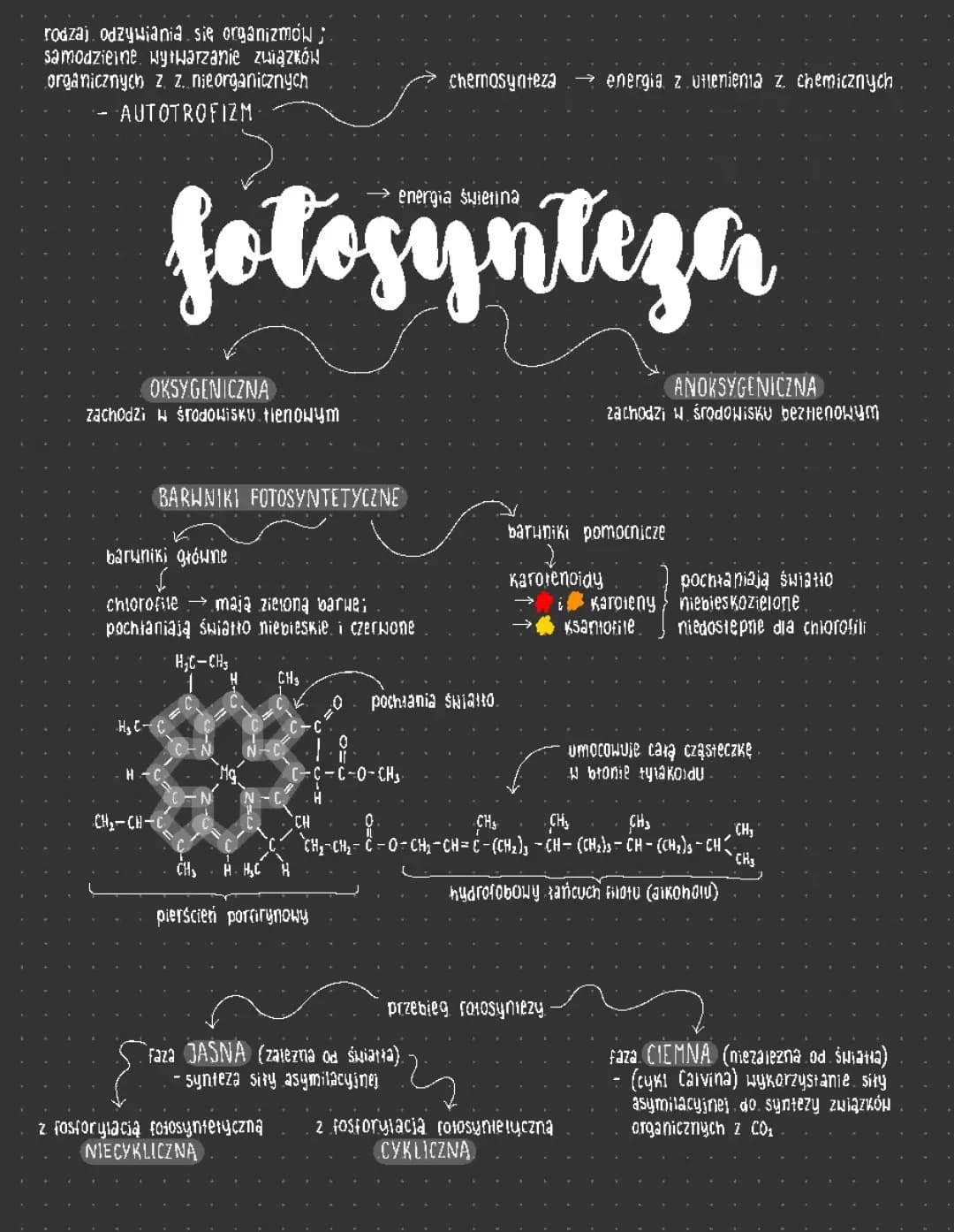 Fotosynteza