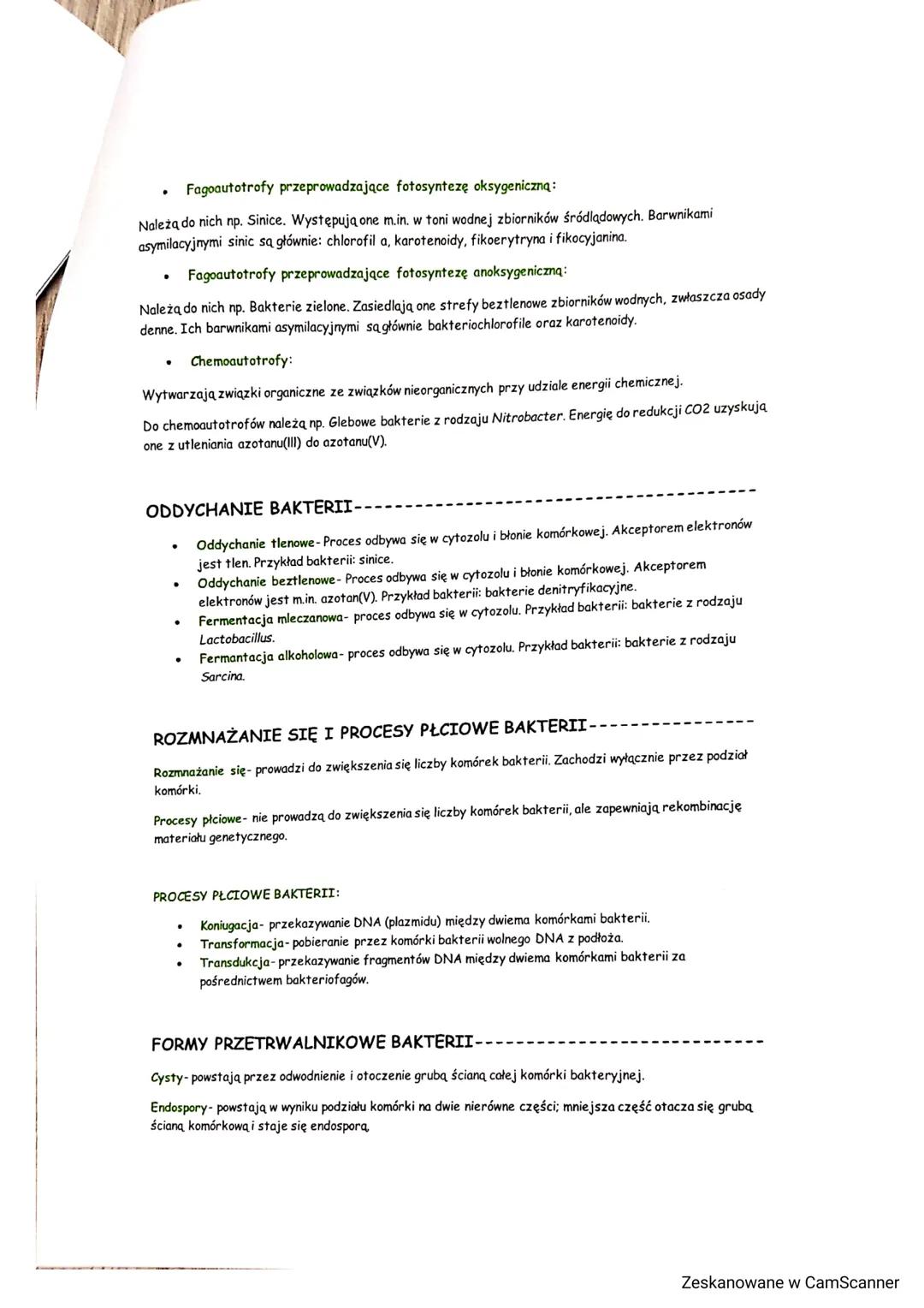 PORÓWNANIE ORGANIZMÓW PROKARIOTYCZNYCH--
Bakterie (bacteria)
a) Białka związane z DNA- DNA nawinięty na zasadowe białka niehistonowe
b) Geny