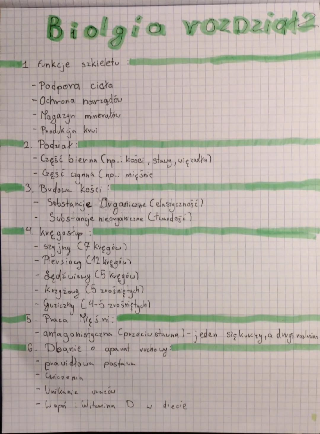 Biolgia vozdział 2

1 funkcje szkieletu
- Podpora ciała
-Ochrona narządów
- Magazyn minerałó
- Produkcja krui

2. Podział:
- Część bierna (n