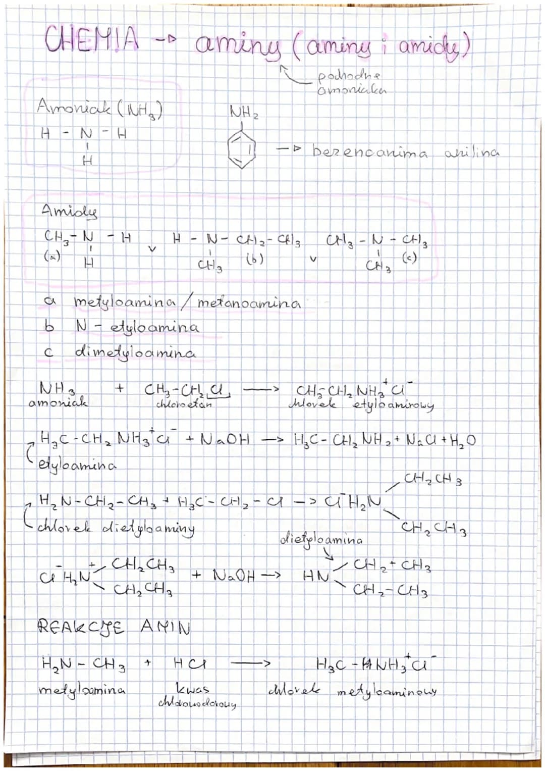 CHEMIA
17
aminy (aminy i amicky)
podhodne
amoniaka
Amonial (Nha)
NH2
T
H-N.
I
H
Amidy
CH-N
(a)
I
- H
>
I
-bezencanima anilina
N-CH2-CH3
1
(b