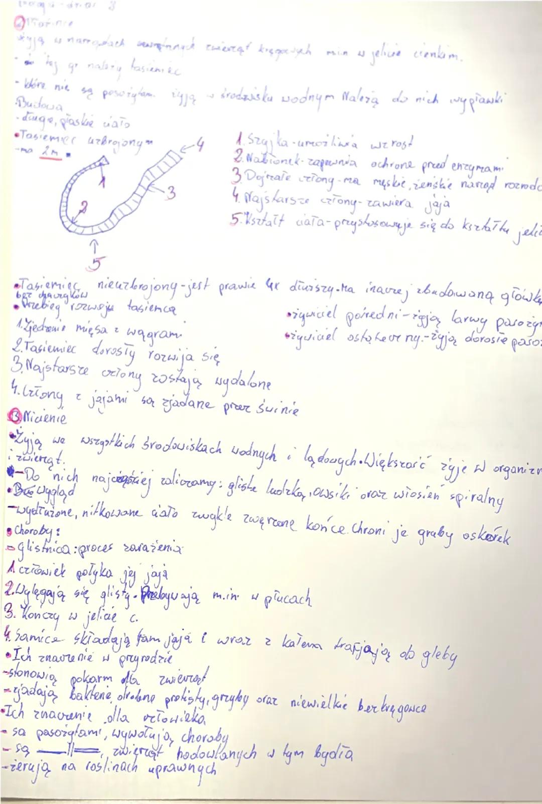 dr. or
жуја
is namotach drych zwierząt kręgowych
31
as jelicie cienkim.
tasien éc
taj gr należy
hire nie sy pasożyłem żyją środowiska wodnym