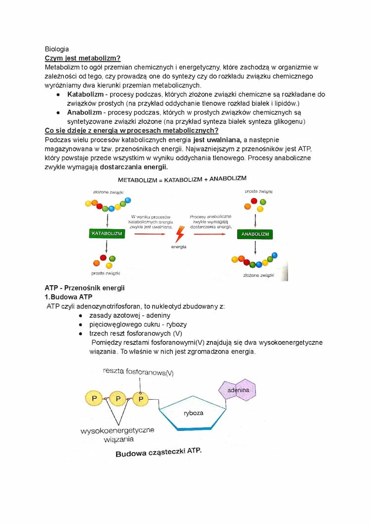Know Metabolizm  thumbnail