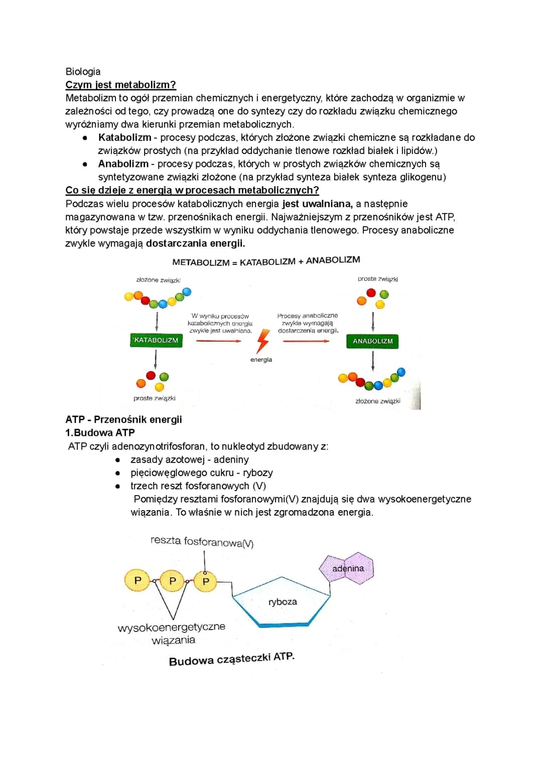 Metabolizm 