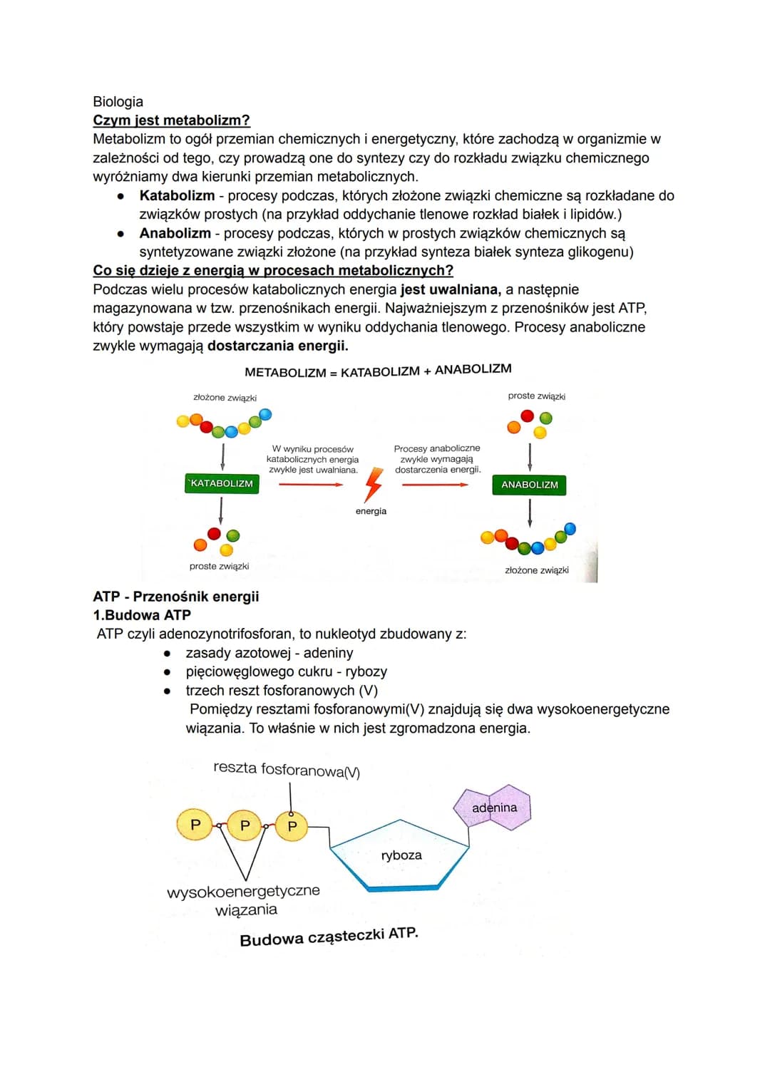 Biologia
Czym jest metabolizm?
Metabolizm to ogół przemian chemicznych i energetyczny, które zachodzą w organizmie w
zależności od tego, czy