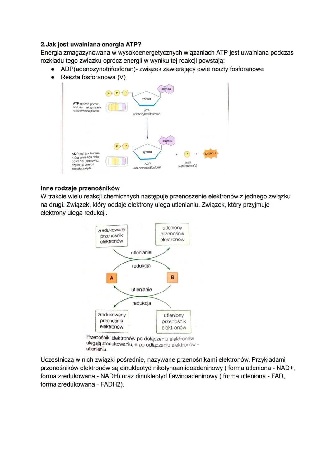 Biologia
Czym jest metabolizm?
Metabolizm to ogół przemian chemicznych i energetyczny, które zachodzą w organizmie w
zależności od tego, czy