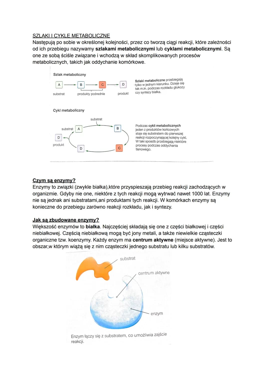Biologia
Czym jest metabolizm?
Metabolizm to ogół przemian chemicznych i energetyczny, które zachodzą w organizmie w
zależności od tego, czy
