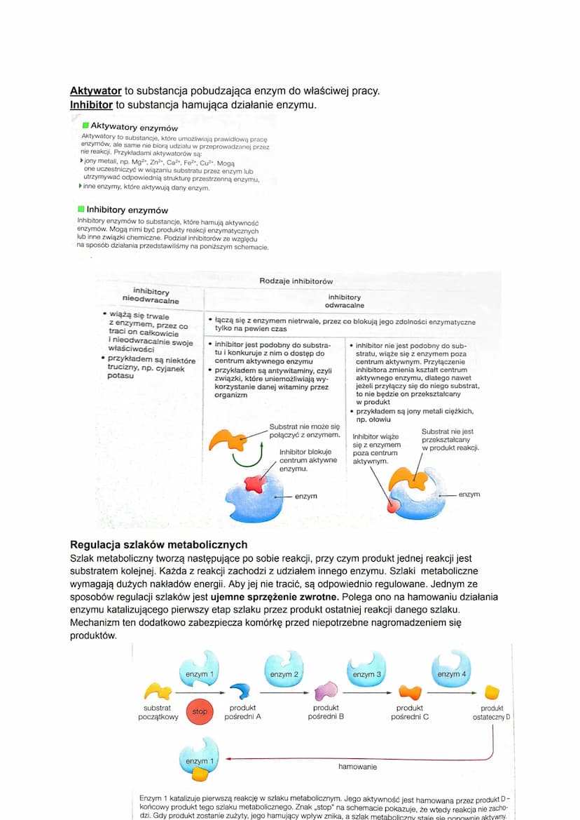 Biologia
Czym jest metabolizm?
Metabolizm to ogół przemian chemicznych i energetyczny, które zachodzą w organizmie w
zależności od tego, czy