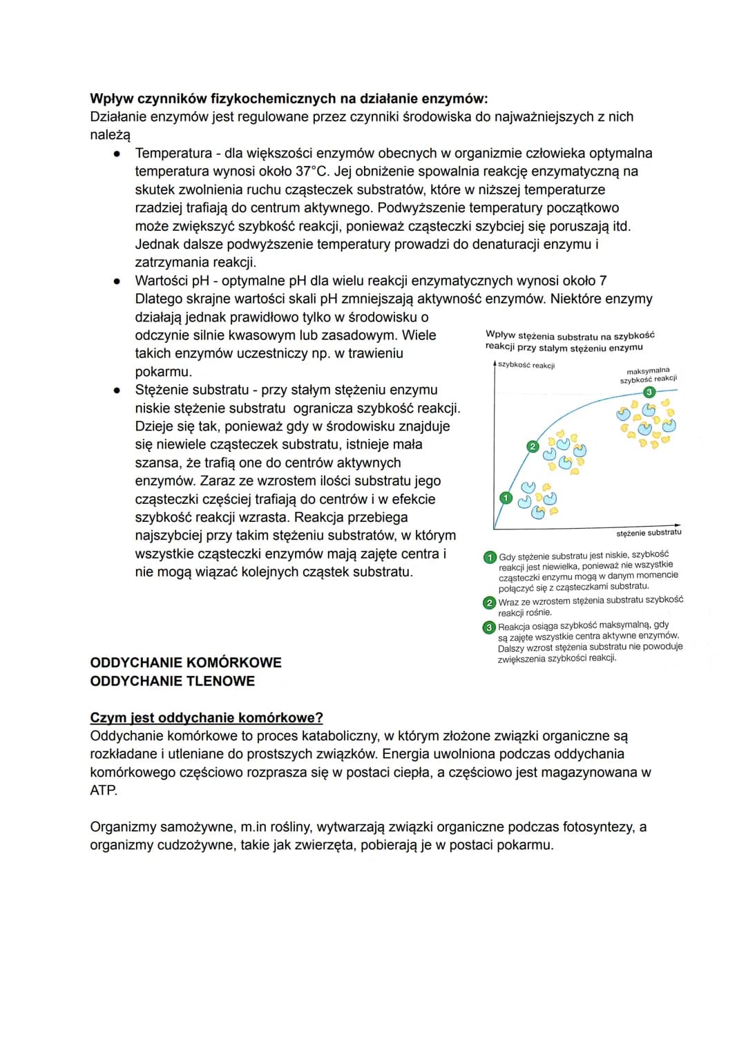 Biologia
Czym jest metabolizm?
Metabolizm to ogół przemian chemicznych i energetyczny, które zachodzą w organizmie w
zależności od tego, czy