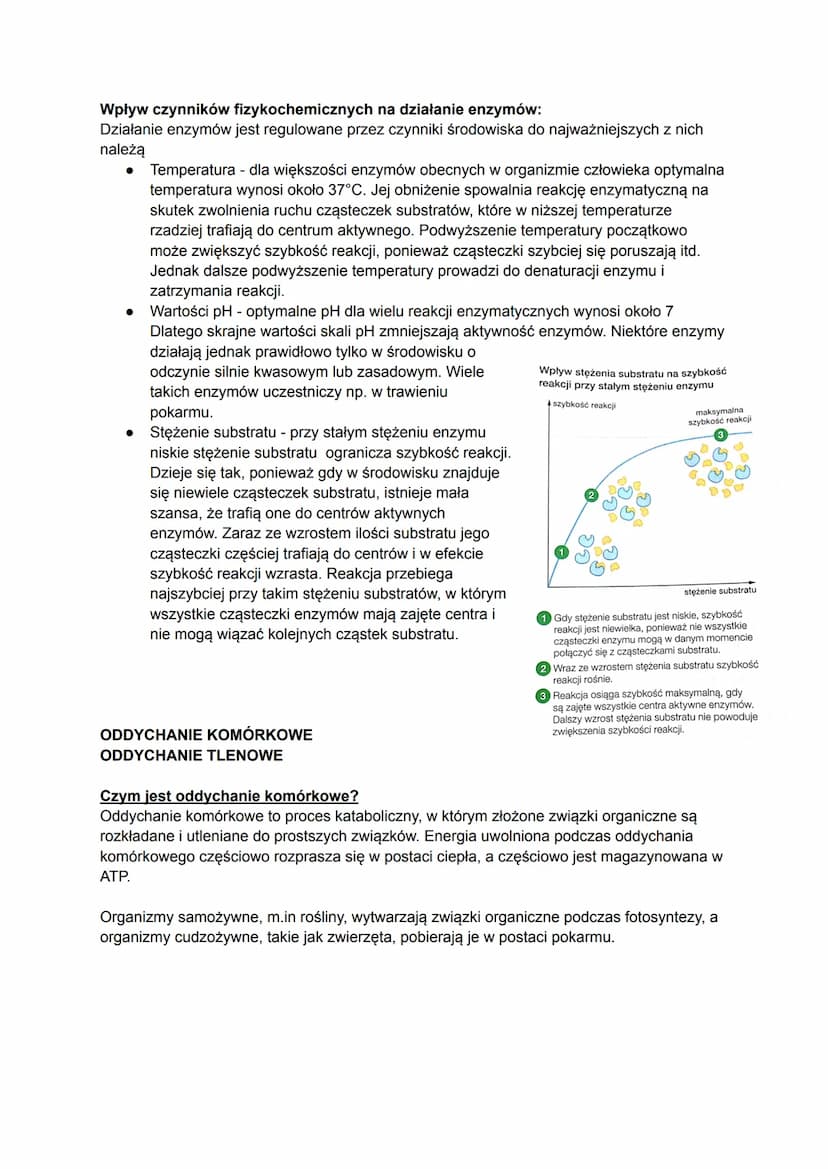 Biologia
Czym jest metabolizm?
Metabolizm to ogół przemian chemicznych i energetyczny, które zachodzą w organizmie w
zależności od tego, czy