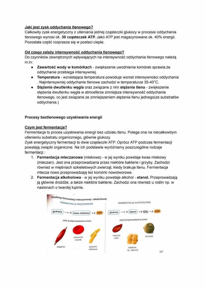 Biologia
Czym jest metabolizm?
Metabolizm to ogół przemian chemicznych i energetyczny, które zachodzą w organizmie w
zależności od tego, czy