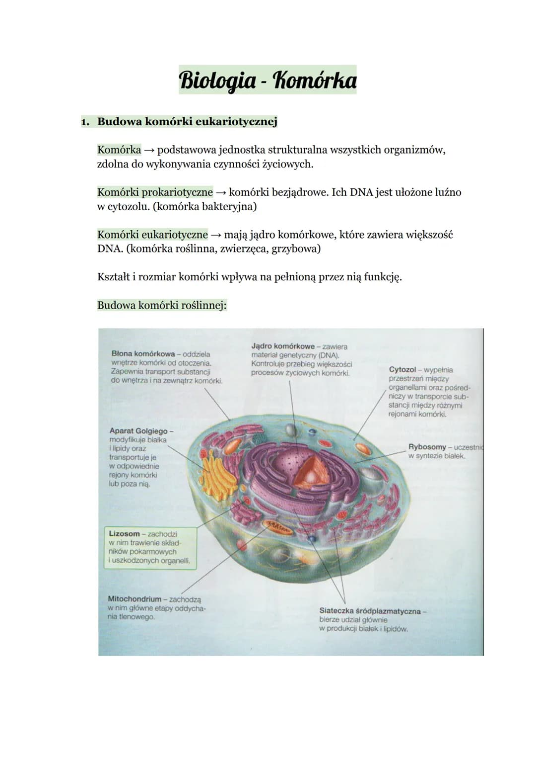 Biologia - Komórka
1. Budowa komórki eukariotycznej
Komórka → podstawowa jednostka strukturalna wszystkich organizmów,
zdolna do wykonywania
