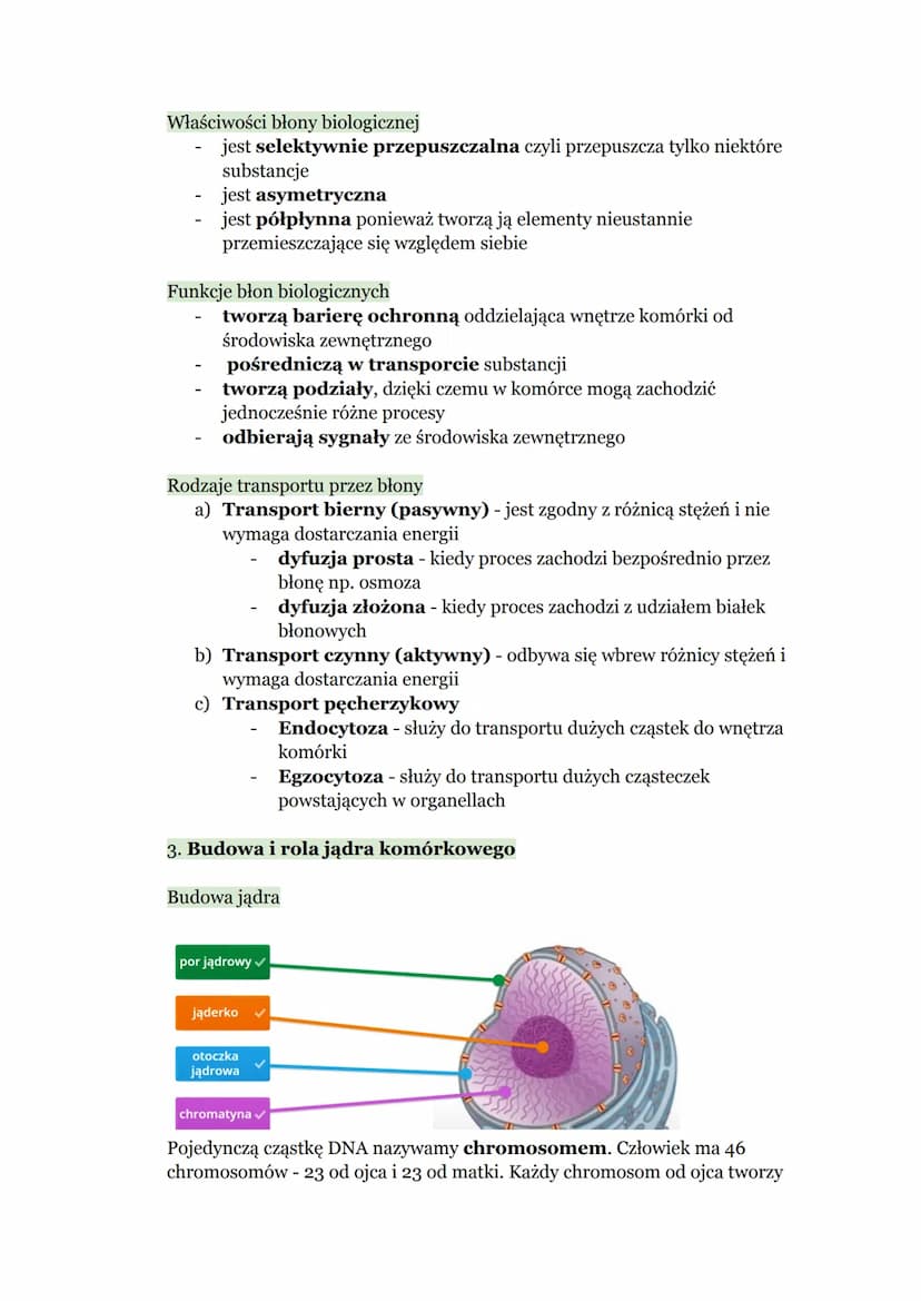 Biologia - Komórka
1. Budowa komórki eukariotycznej
Komórka → podstawowa jednostka strukturalna wszystkich organizmów,
zdolna do wykonywania