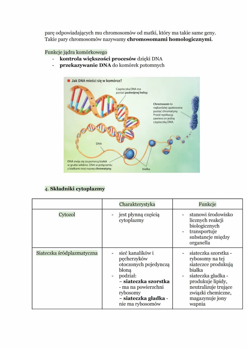 Biologia - Komórka
1. Budowa komórki eukariotycznej
Komórka → podstawowa jednostka strukturalna wszystkich organizmów,
zdolna do wykonywania