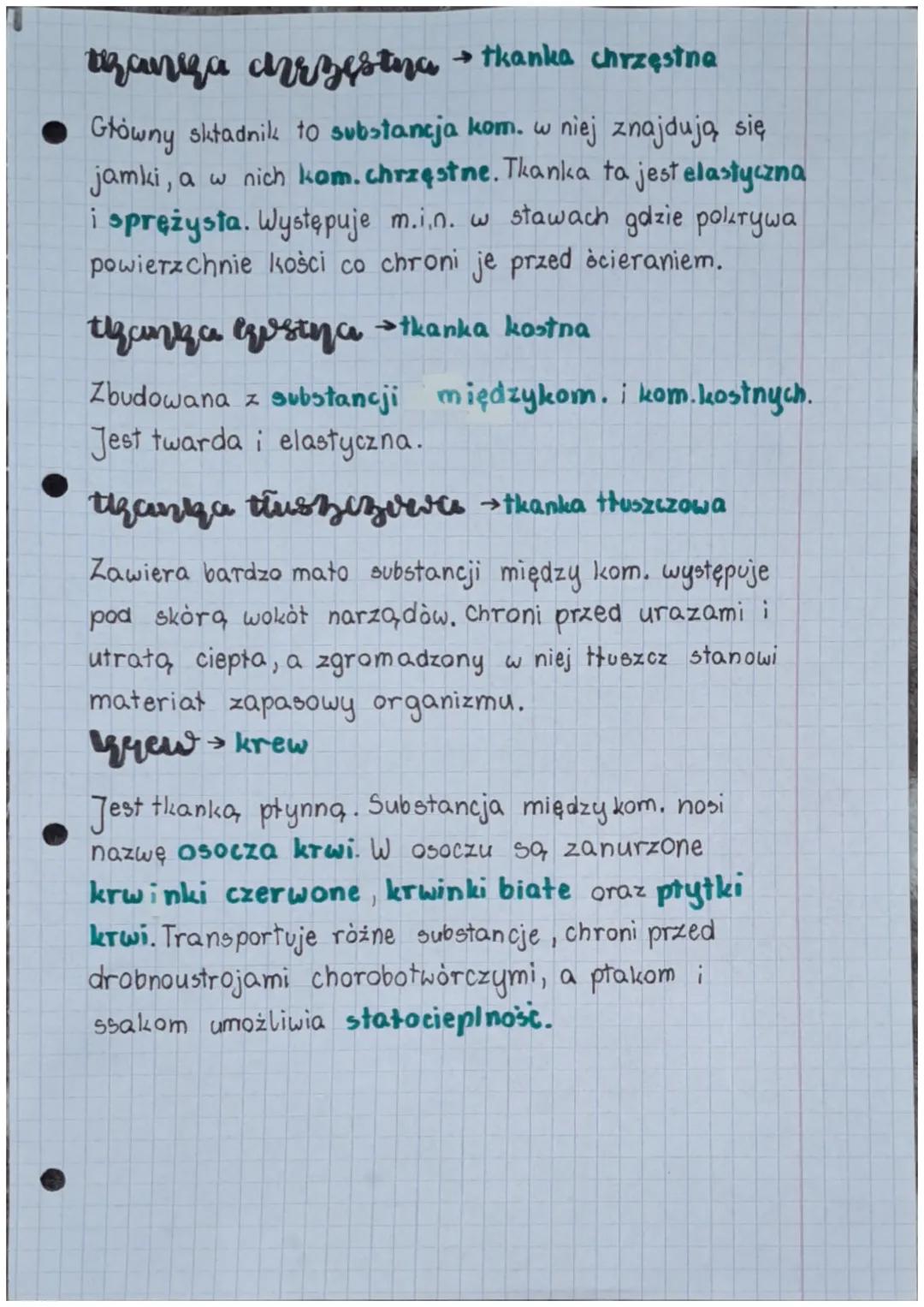Giologia
✩ tkanka fączna występuje niemal w każdym narządzie zwierzęcym
a nawet pomiędzy nimi. Jej głównymi zadaniami są m.i.n utrzymy -
wan