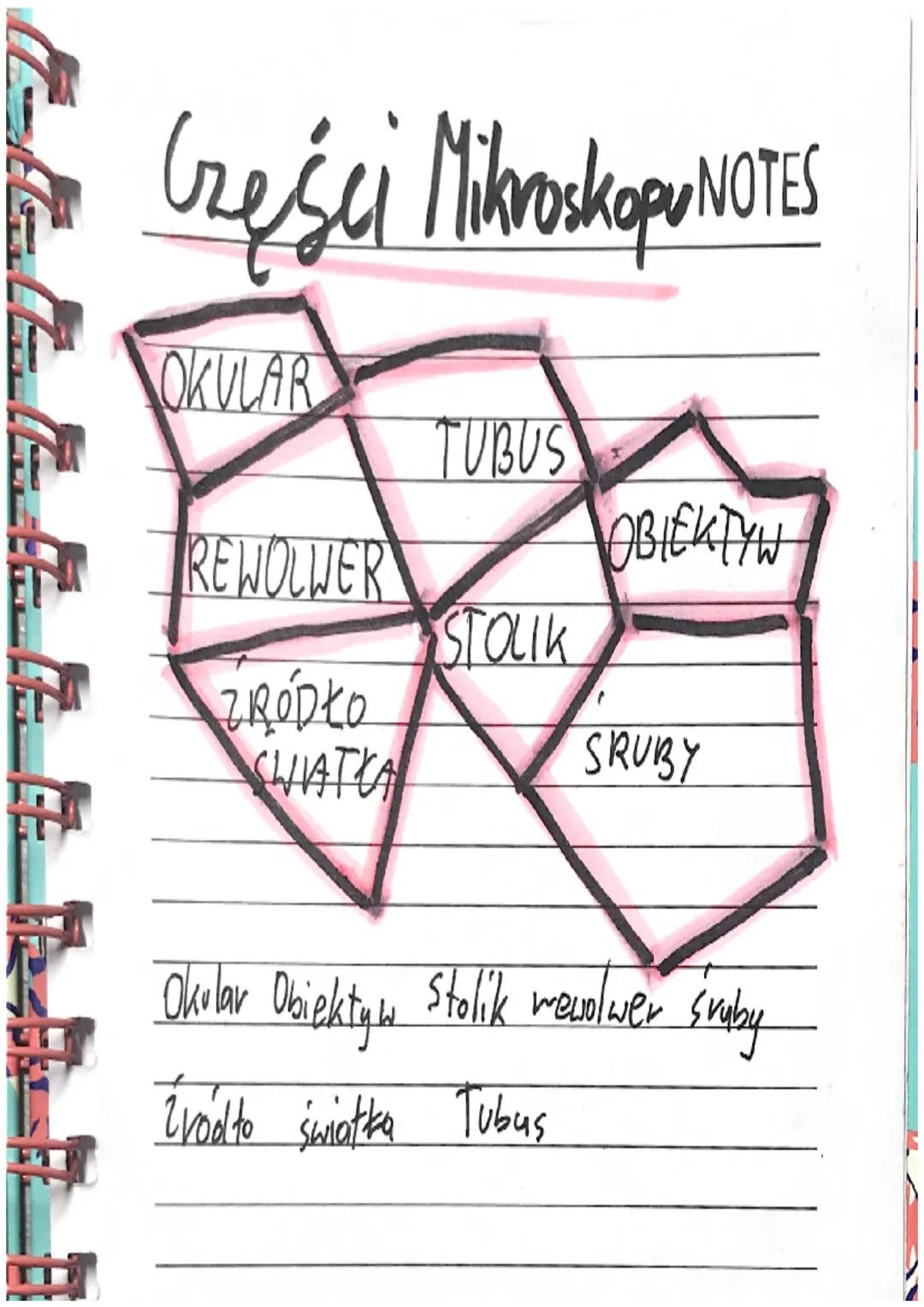 Sprawdzian NOTES
Czynności życione organizmów
reakcje
doodzce
ruch
H
wydalanie oorcywianie się
odlolychanie
Organizmy
zwierzęta
bakterie
grz