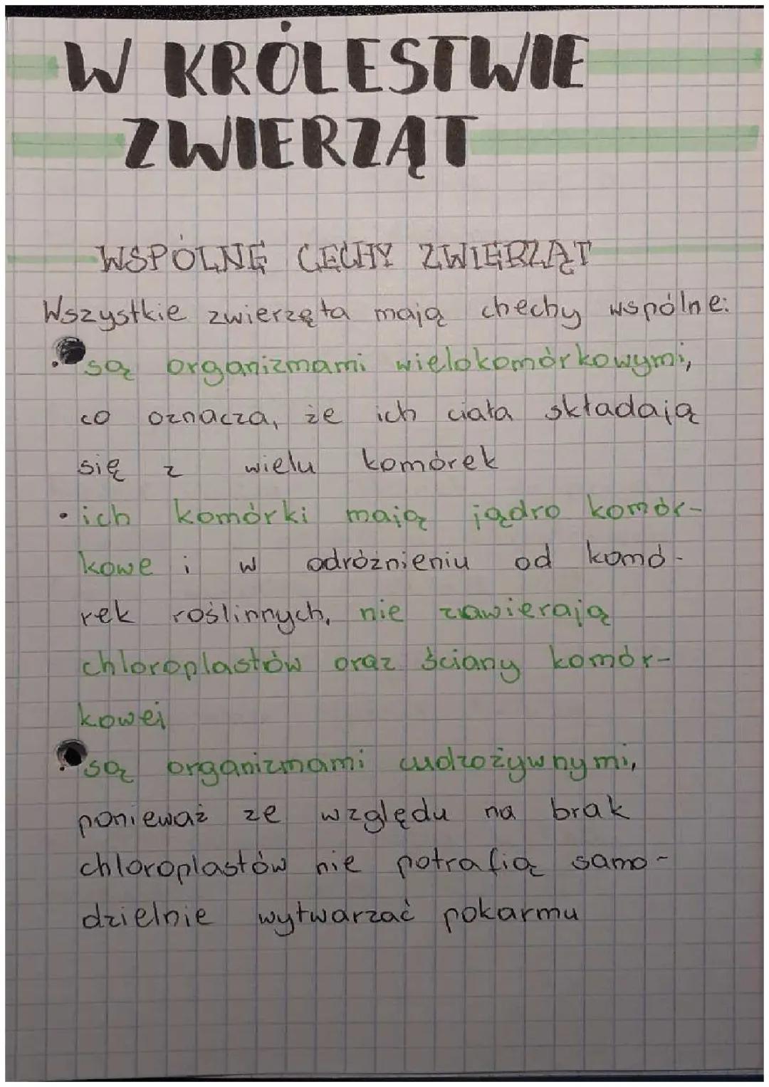 Podział Kręgowców i Bezkręgowców