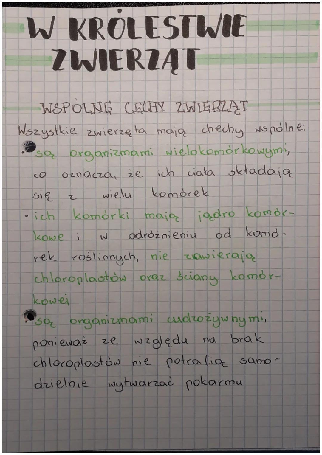 W KROLESTWIE
ZWIERZĄT
WSPOLNE CECHY ZWIERZĄT
Wszystkie zwierzęta mają chechy wspólne:
są organizmami wielokomórkowymi,
oznacza, że ich ciała