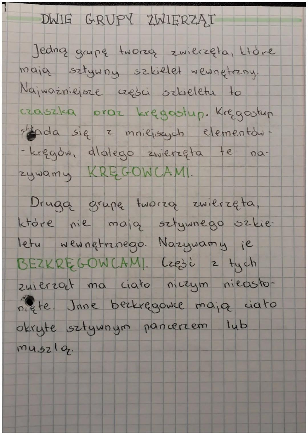 W KROLESTWIE
ZWIERZĄT
WSPOLNE CECHY ZWIERZĄT
Wszystkie zwierzęta mają chechy wspólne:
są organizmami wielokomórkowymi,
oznacza, że ich ciała