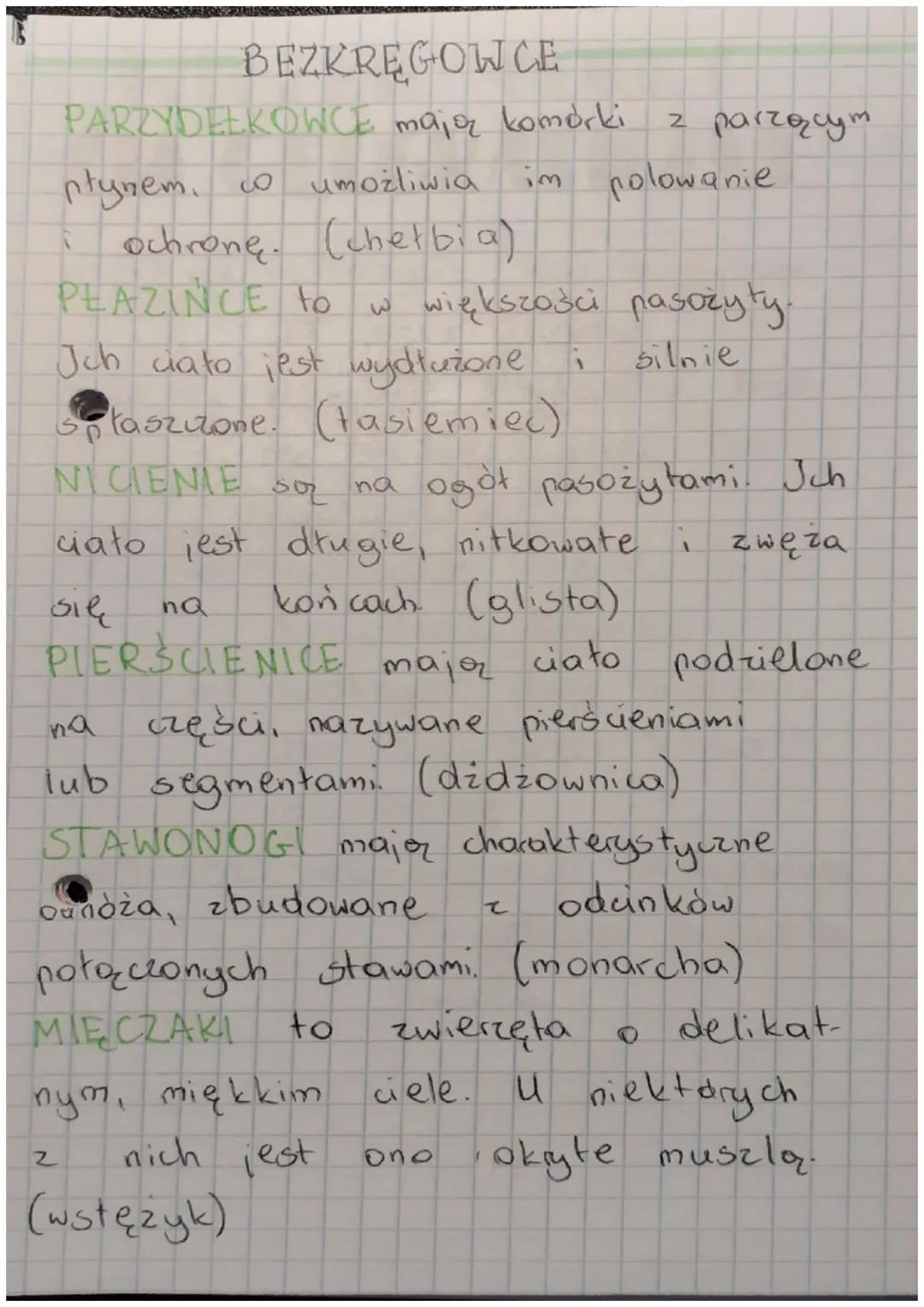 W KROLESTWIE
ZWIERZĄT
WSPOLNE CECHY ZWIERZĄT
Wszystkie zwierzęta mają chechy wspólne:
są organizmami wielokomórkowymi,
oznacza, że ich ciała