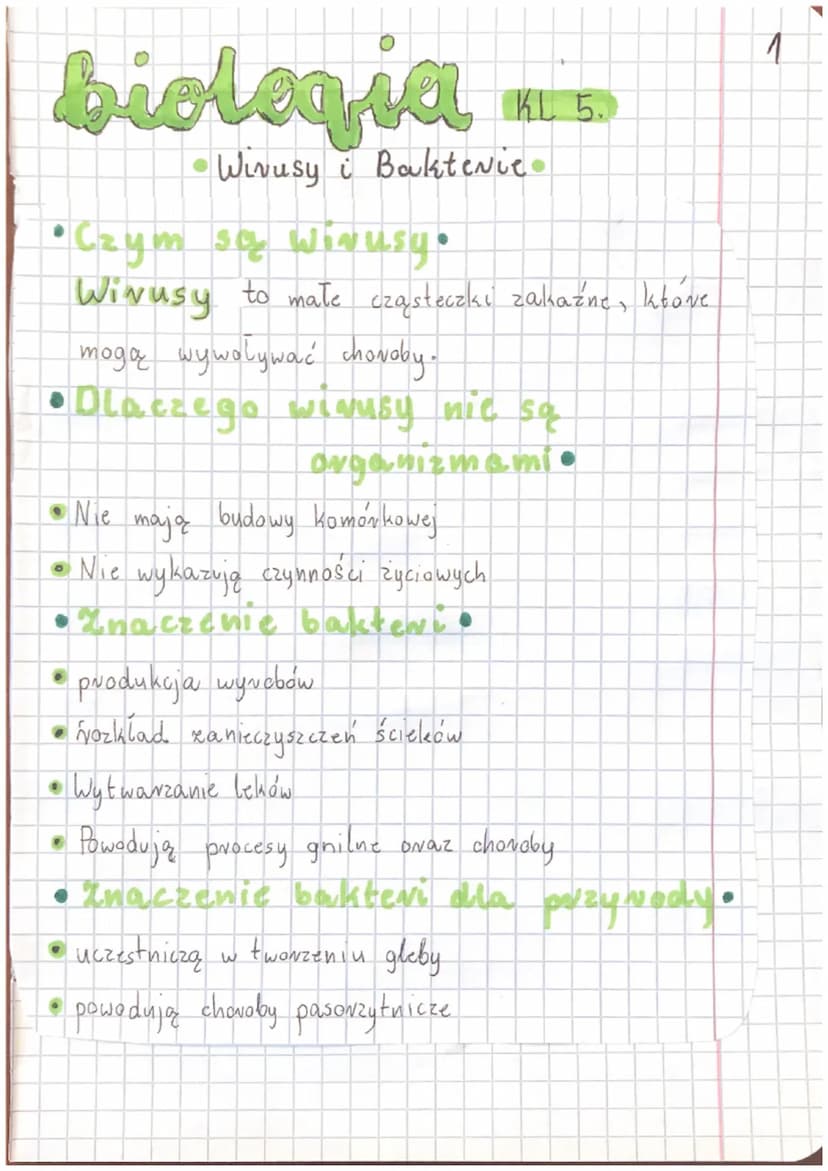 Sprawdzian Biologia Klasa 5 Wirusy Bakterie Protisty I Grzyby Biologia klasa 5: Wirusy, bakterie, protisty i grzyby sprawdzian