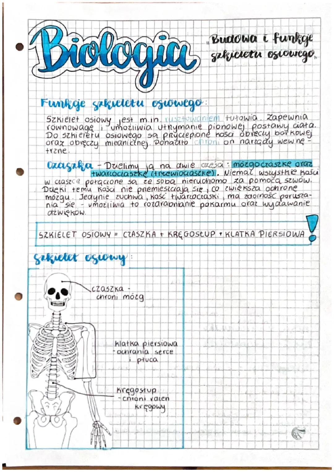 Biologia
Funkcije sakieletu osiowego:
Szkielet osiowy jest m.in. rusztowaniem tułowia. Zapewnia
rownowagę i umożliwia uthymanie pionowej pos