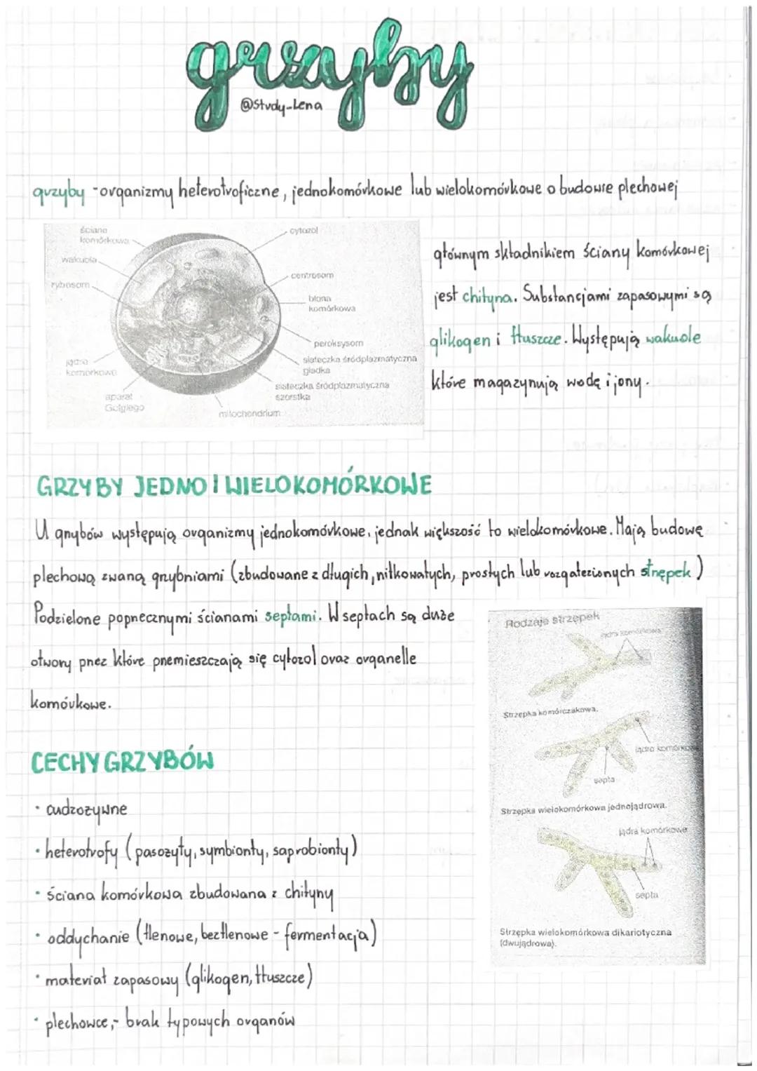 Grzyby - Biologia i Znaczenie