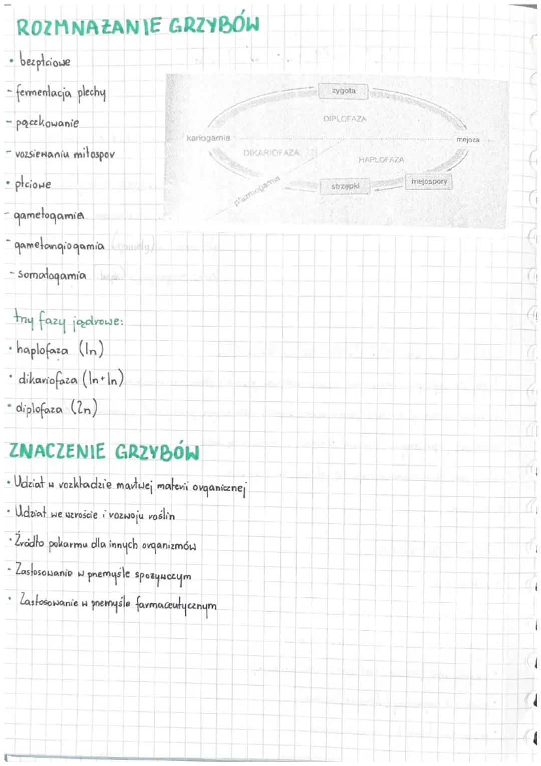 # greajby
@Study-Lena

quzyby -ovqanizmy heterotroficzne, jednokomórkowe lub wielolkomórkowe o budowie plechowej

ściane
komdekowa

kubla
ke