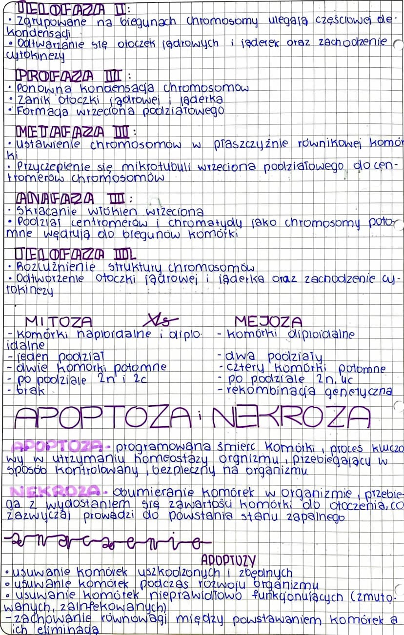 MITOZA
-wzrost i rozwój organizmow
regenerada uszkodzonych lub utraconych elementów budowy organiz
mu (komorek tkanek, a nawet carych organo