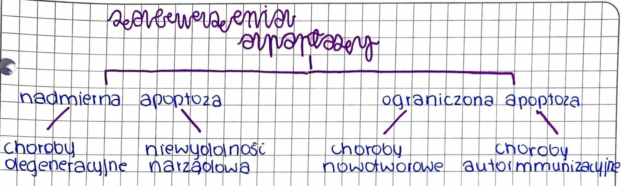 MITOZA
-wzrost i rozwój organizmow
regenerada uszkodzonych lub utraconych elementów budowy organiz
mu (komorek tkanek, a nawet carych organo