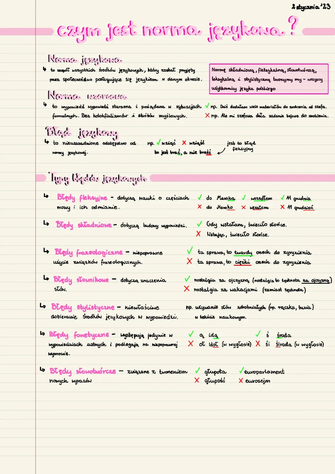 Czym jest norma językowa? - polski gramatyka 