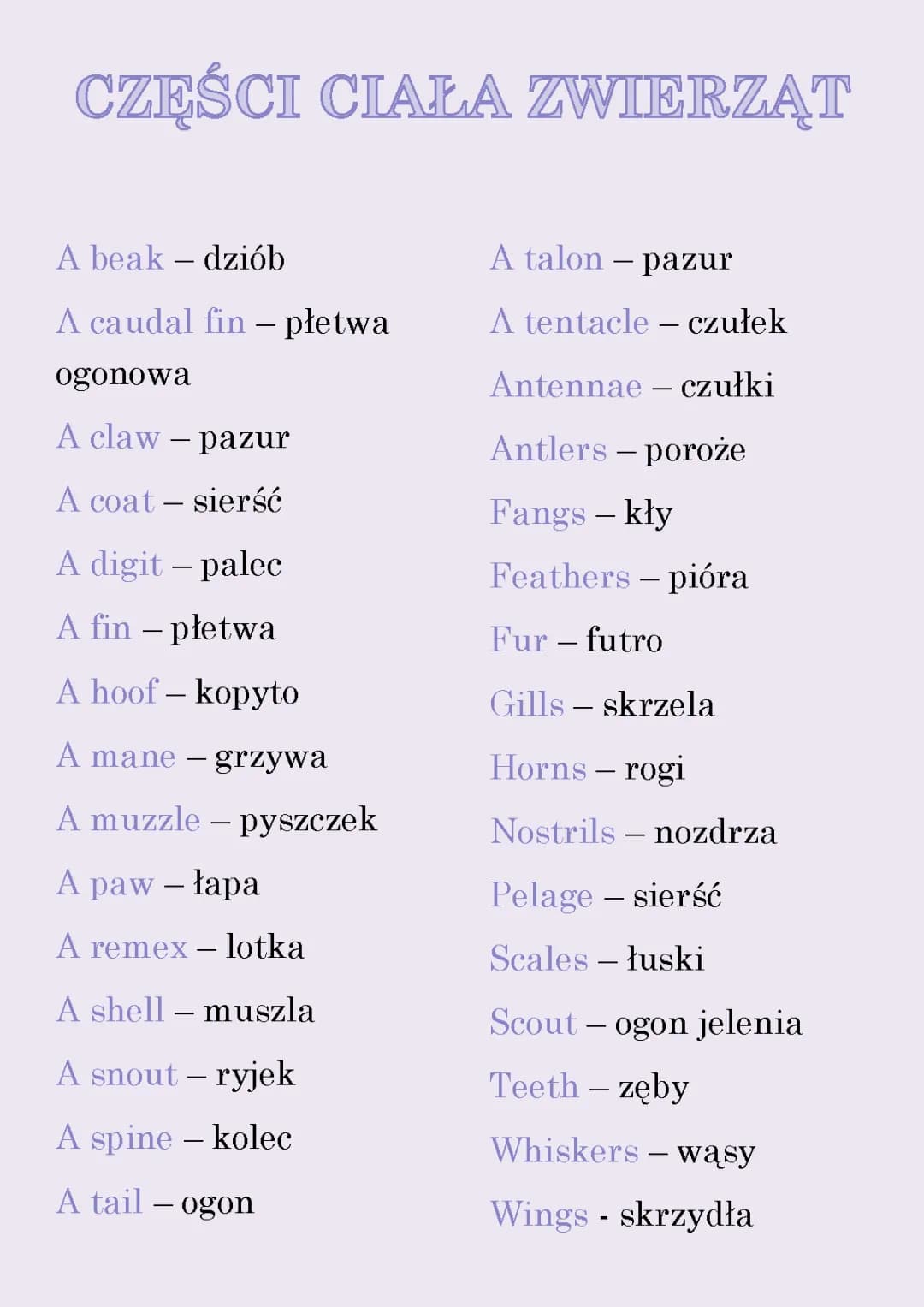 Części ciała zwierząt po angielsku dla klasy 3 - Wordwall z ciałem psa