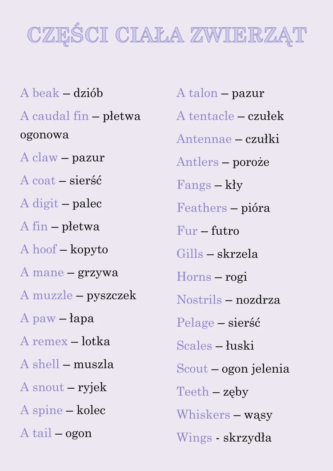 CZĘŚCI CIAŁA ZWIERZĄT
A beak - dziób
A caudal fin - płetwa
ogonowa
A claw - pazur
A coat - sierść
A digit - palec
A fin - płetwa
A hoof - ko