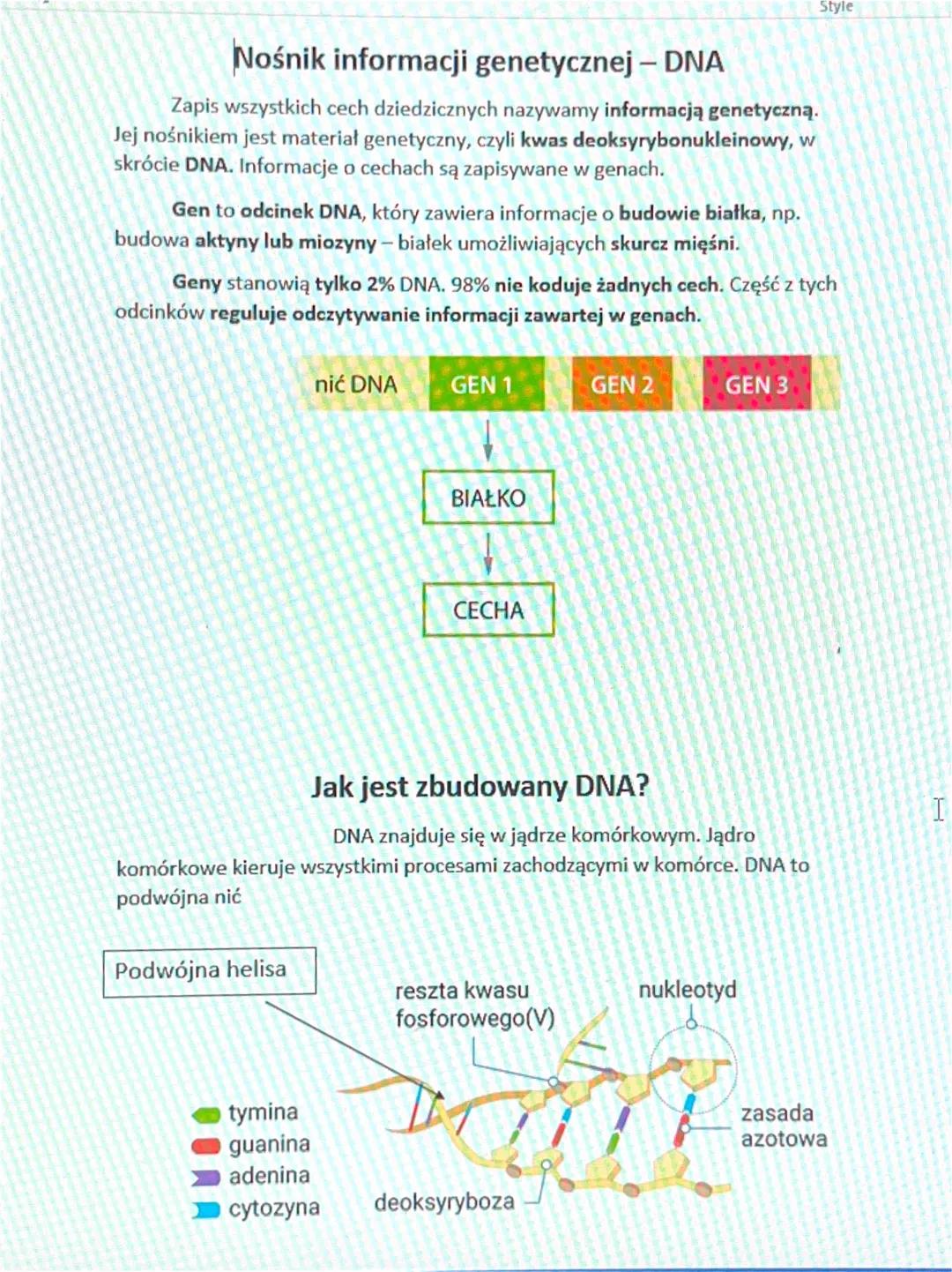 Nośnik informacji genetycznej - DNA
Zapis wszystkich cech dziedzicznych nazywamy informacją genetyczną.
Jej nośnikiem jest materiał genetycz