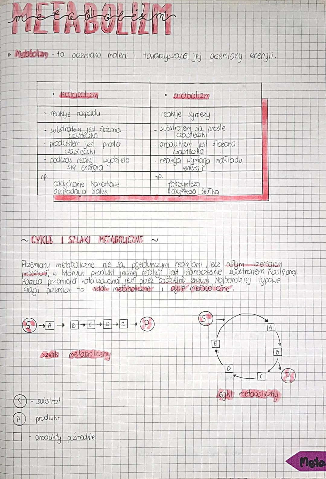metabolum
• Metabolizm - to przemiana materii
katabolizm
- reakye rozpadu.
substratem jest złożona
czasteczka
produktem jest prosta
czastecz