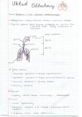 Know Układ oddechowy thumbnail