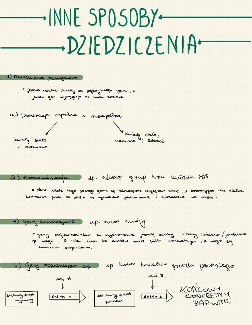 DZIEDZICZENIE
Badania Mendla
DLACZEGO
I
GROCH ZWYCZAJNY
очертсіому
samopymy
→ catwy w uprawie
wiele różniących się odmian
рпашо
Mendia
• w
-