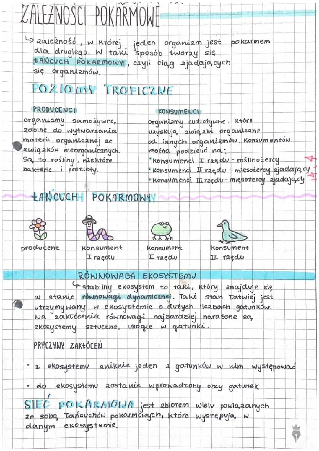 Zależności pokarmowe - ekologia