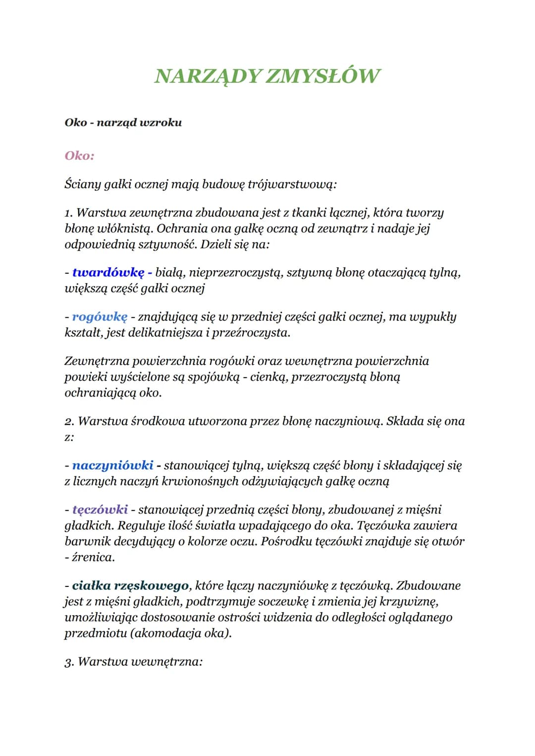 NARZĄDY ZMYSŁÓW
Oko - narząd wzroku
Oko:
Ściany gałki ocznej mają budowę trójwarstwową:
1. Warstwa zewnętrzna zbudowana jest z tkanki łączne