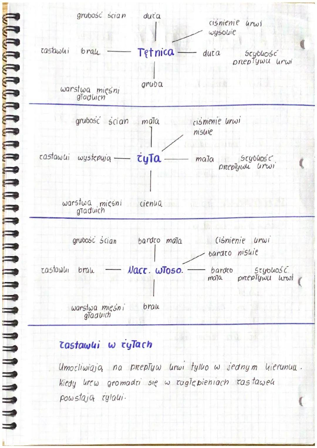 AAAAA
istologia
urwiobieg maty rocpoczyna się w PK, a końcty LP.
urwiobieg duty rozpoczyna się w LK, a końcty PP
0
Budowa nactyń urwionosnyc