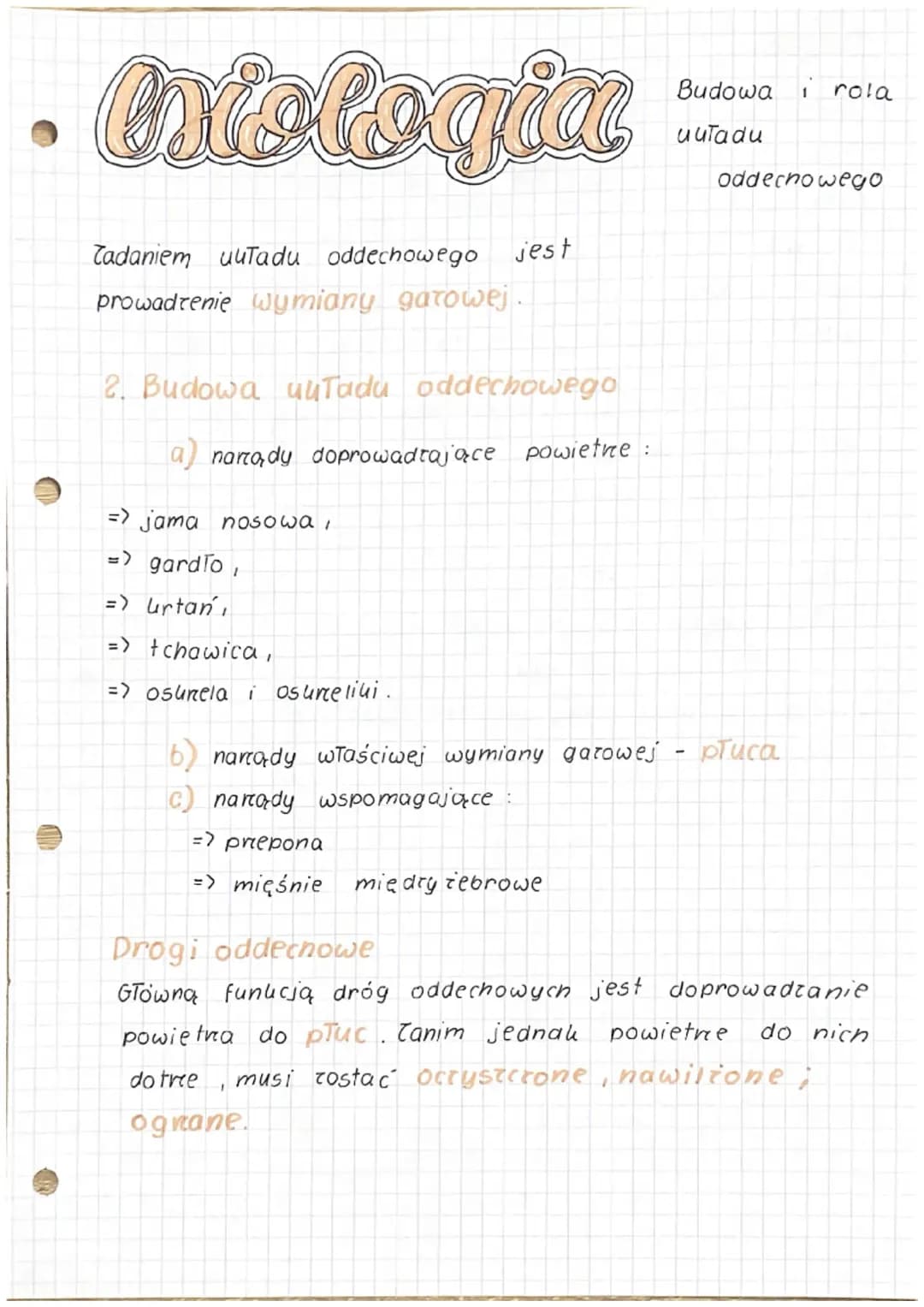 Budowa i funkcja układu oddechowego