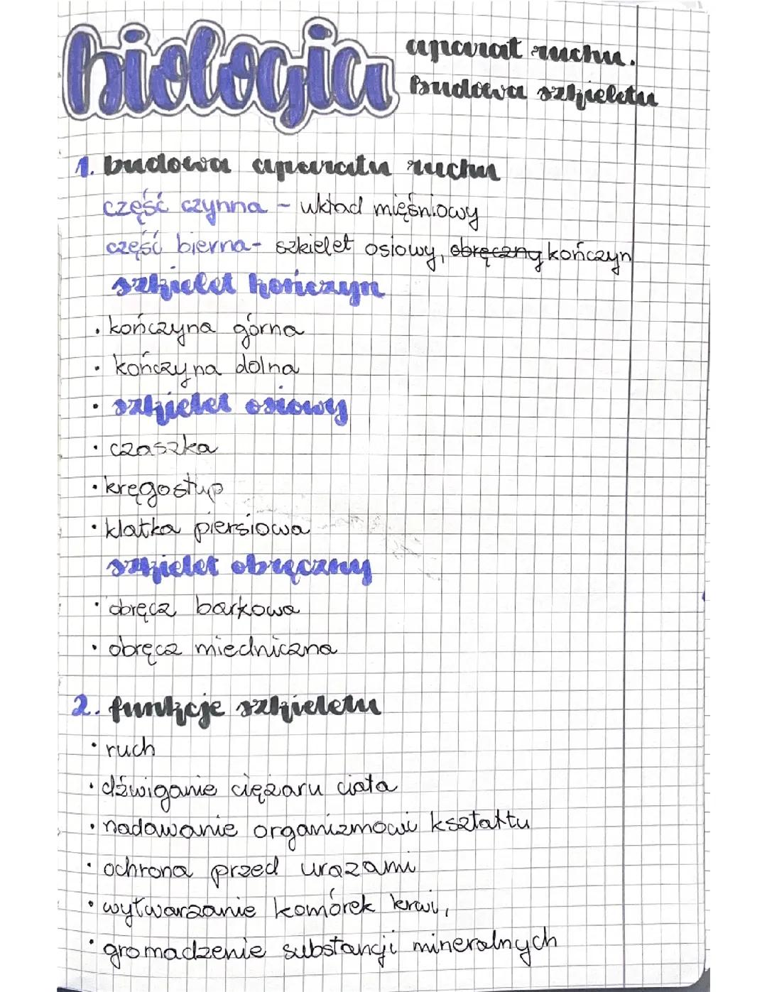 Aparat ruchu: Zrozumienie budowy szkieletu
