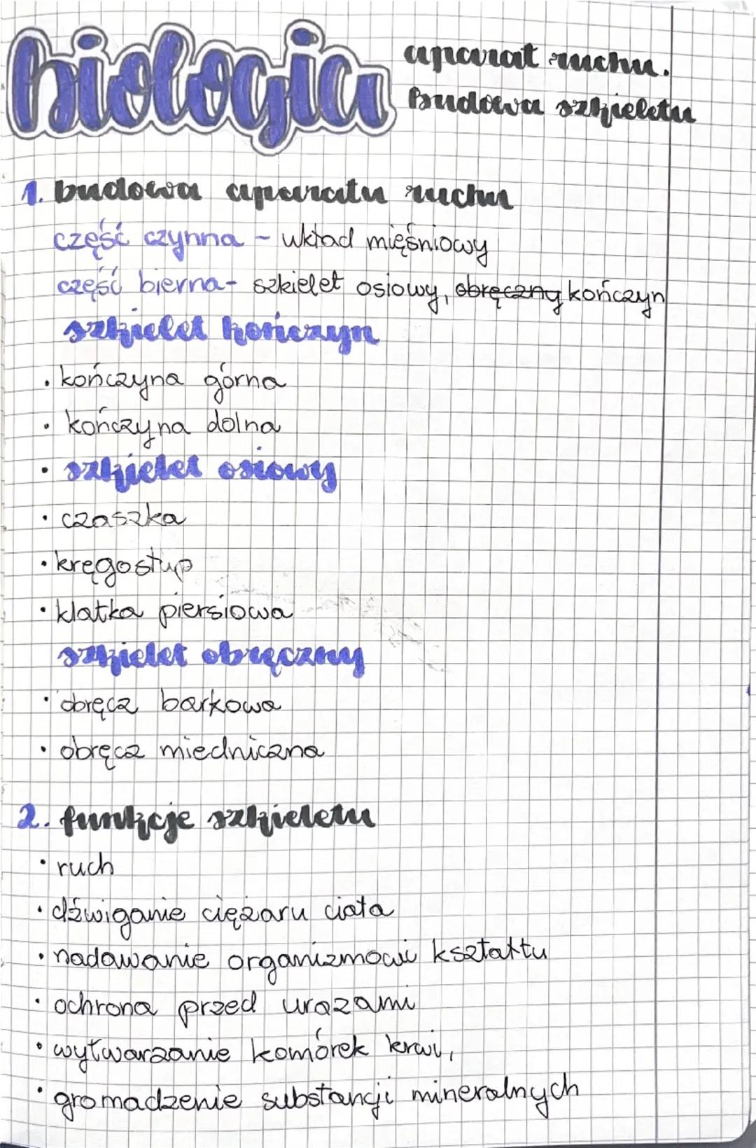 hiologia
aparat ruchu.
Budowa szkieletu
1. budowa aparatu ruchu
część czynna - wkład mięśniowy
część bierna- szkielet osiowy, obręczny kończ