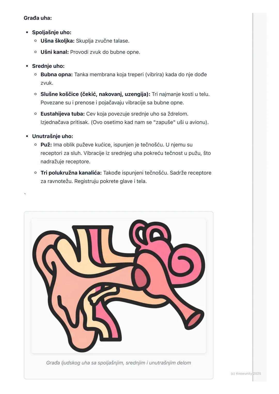 # Čula

Uvod u čula

Čula nam omogućavaju da primamo informacije iz spoljašnje sredine. To su
naši "prozori u svet". Preko njih vidimo, čuje